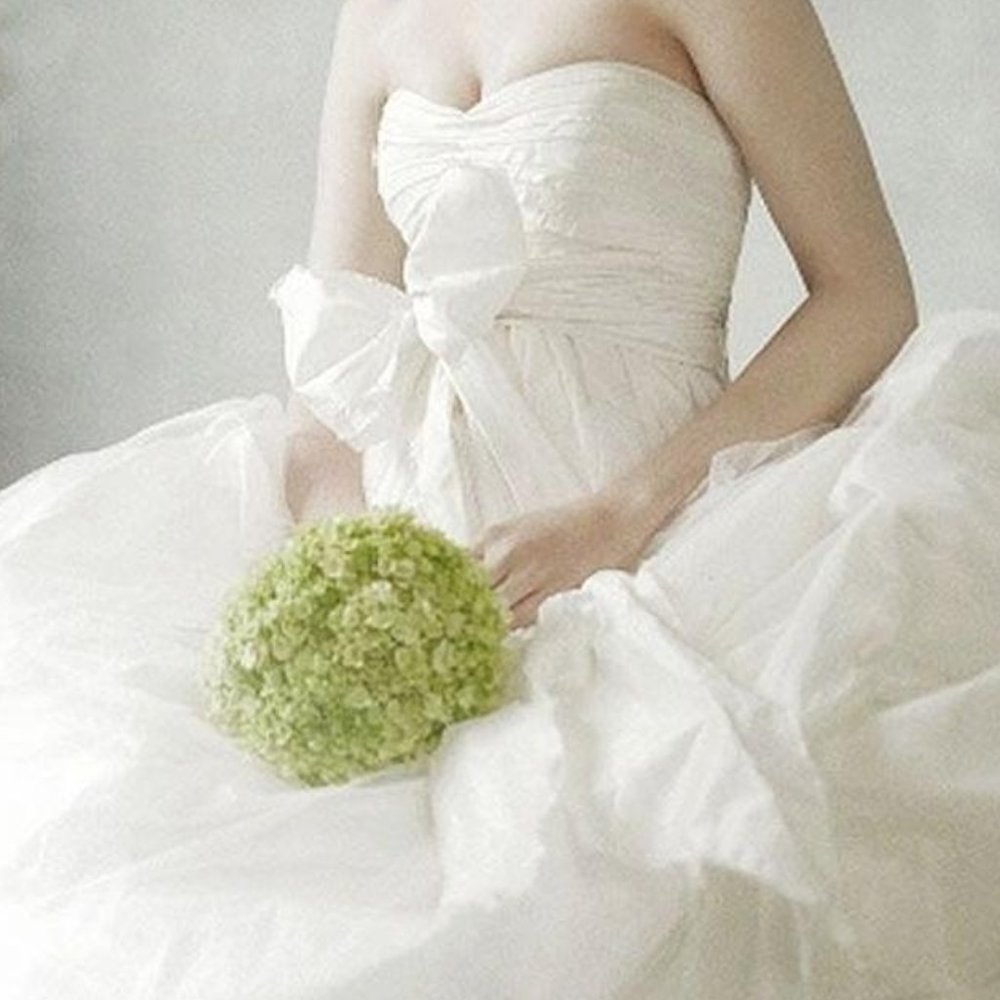 Vera Wang Wedding Gown Size 10